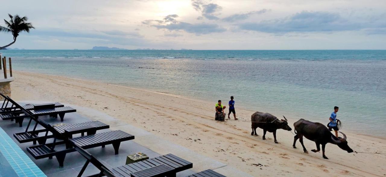 Mimosa Resort & Spa Ko Samui Eksteriør billede