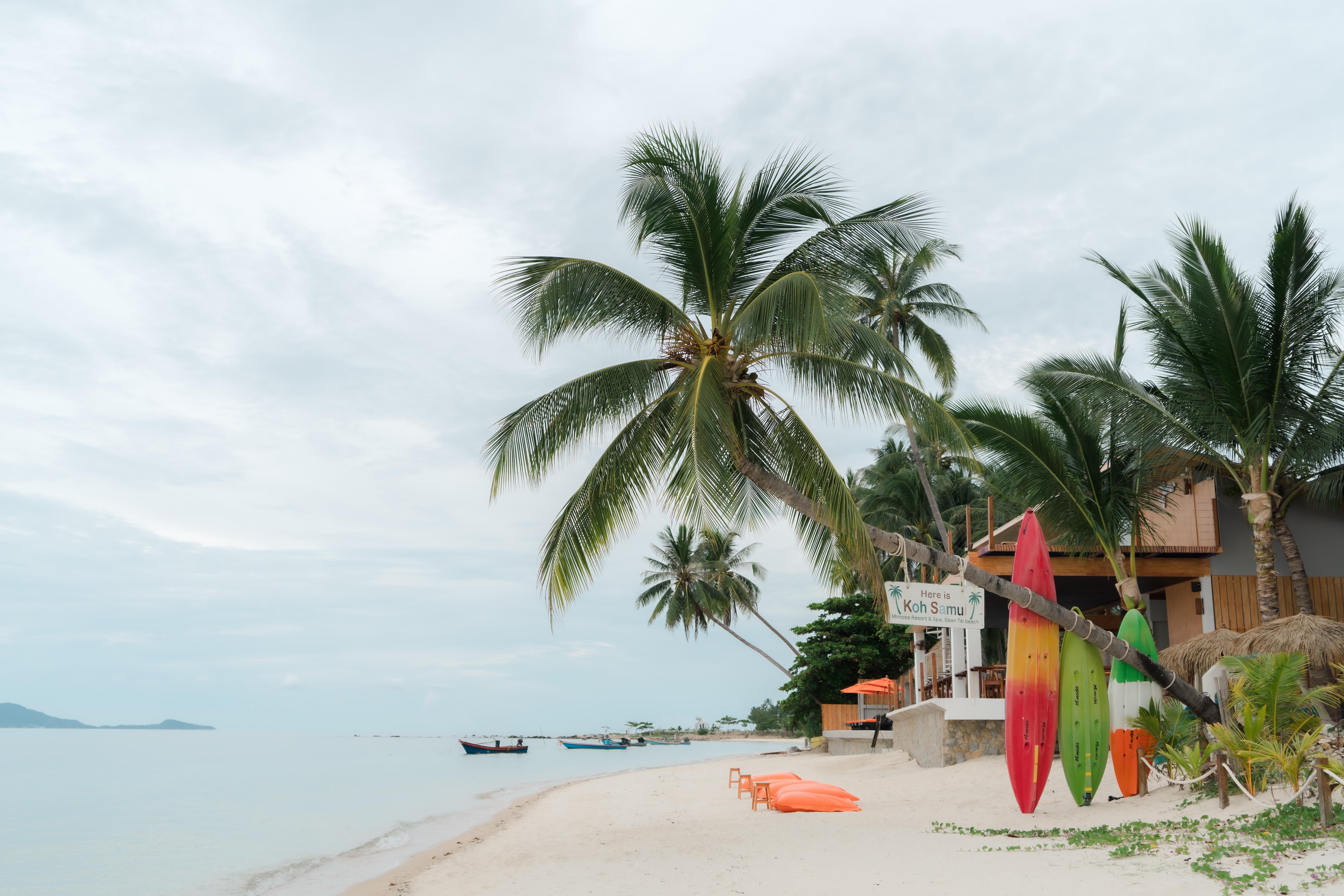 Mimosa Resort & Spa Ko Samui Eksteriør billede